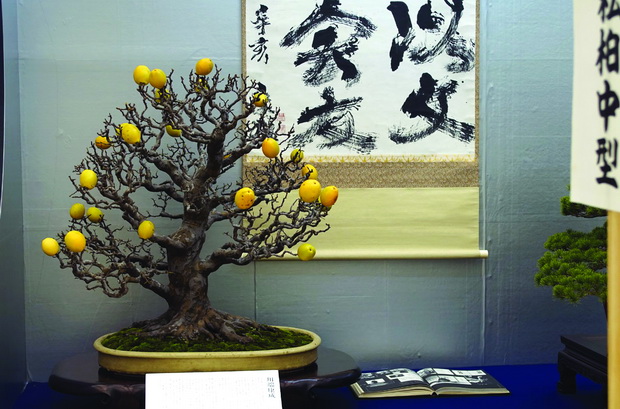 DSC05486_resize