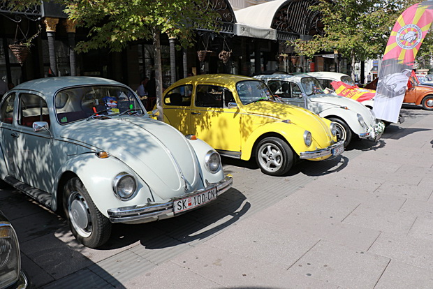 IMG_20220910_114021_resize