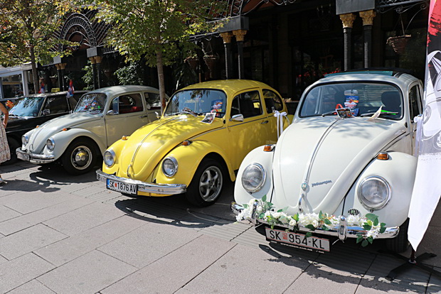 IMG_20220910_114225_resize