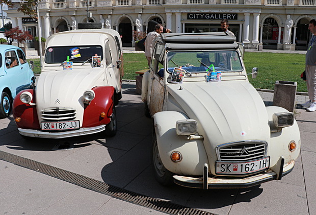 IMG_20220910_114601_resize