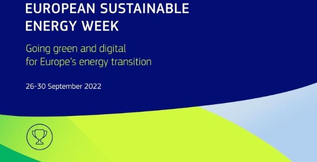 sew1