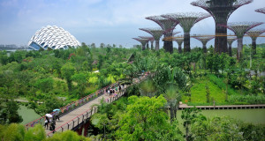 Сингапур: Градот кој научи како да ја спои природата со урбаното живеење