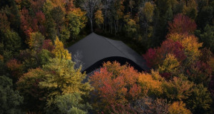 Куќа со органска форма целосно втопена во шумски амбиент