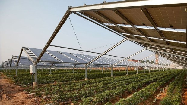 agrosolar1