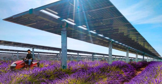 agrosolar2