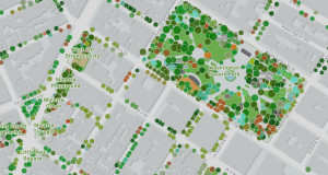 Интерактивната мапа на зелени површини на Њујорк овозможува увид во над 860.000 дрвја во градската структура