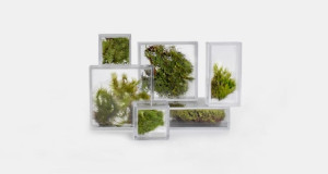 Мали екосистеми за додавање природа на вашето биро