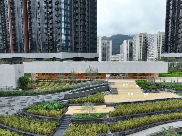 Урбаната фарма како социјален атрактор во Хонг Конг