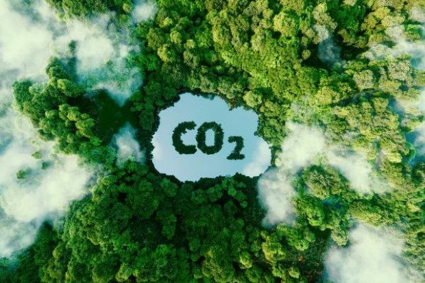 coalphaseout1