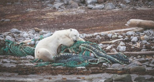 На Арктикот пронајдена пластика и друг отпад од целиот свет