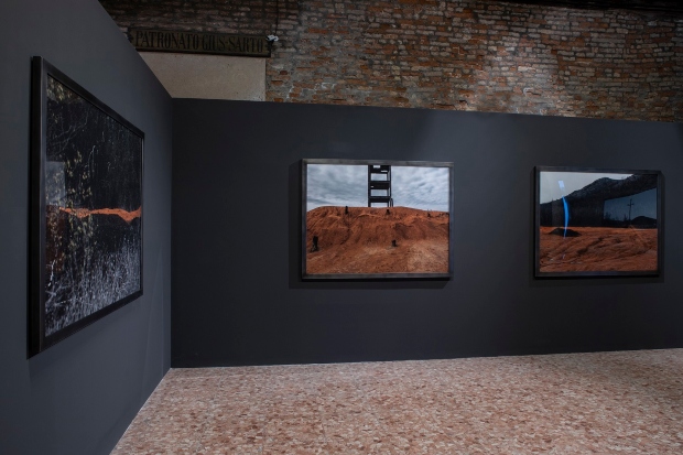 Landscape Experience_7862PRESS