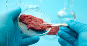 Италија прва во светот со закон ја забрани храната од лабораторија