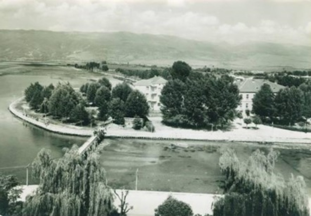 5. drim