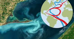 На клучниот океански систем кој ја одржува температурната рамнотежа, му се заканува колапс