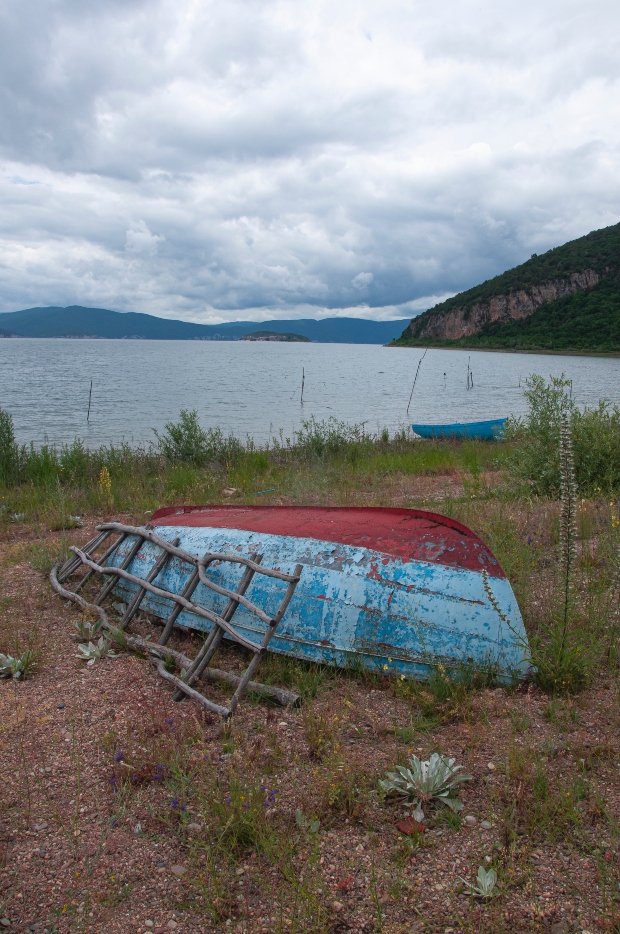 _DSC2395A