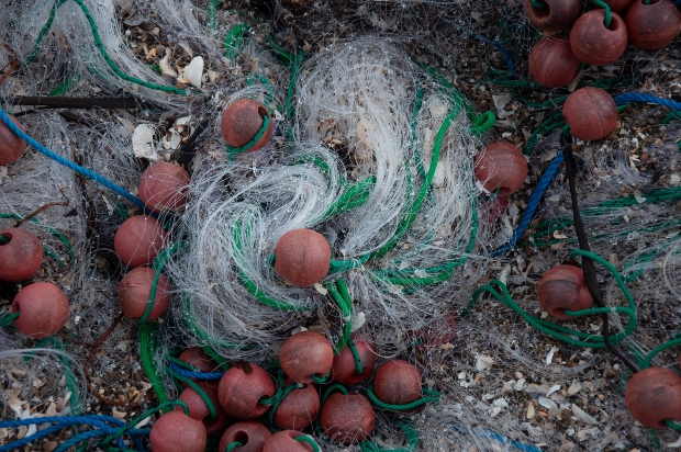 _DSC2430A