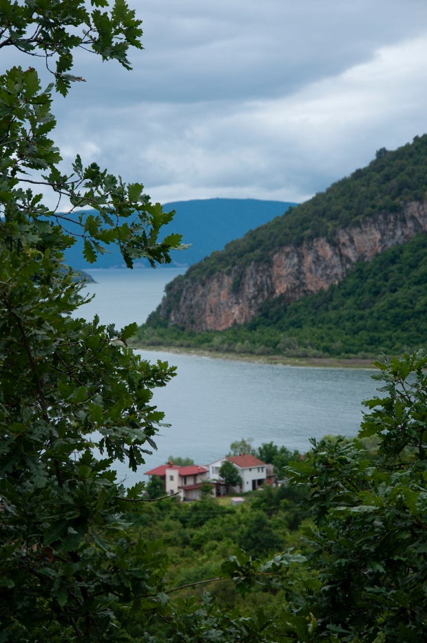 _DSC2474A