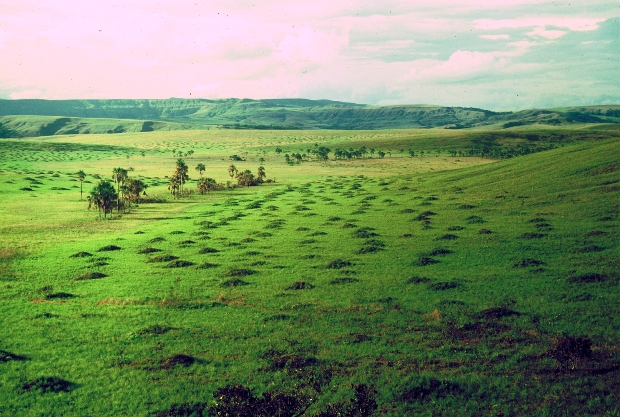 Termiteros_Gran_Sabana