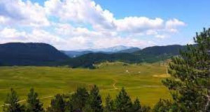 Црна Гора: Сточарите негодуваат поради користењето на земјоделско земјиште за фотоволтаици