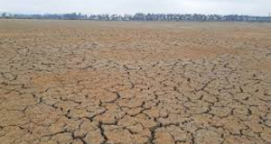 Научниците предвидуваат глобална експанзија на сушни подрачја