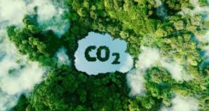 Глобалните емисии на јаглерод ќе достигнат нов максимум во 2023 година