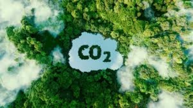 carbon1