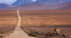 Во пустината Атакама се гради најголемиот систем за складирање на енергија во светот