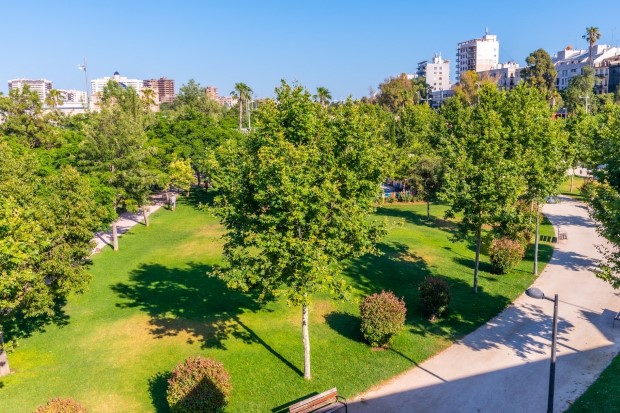 valencia2
