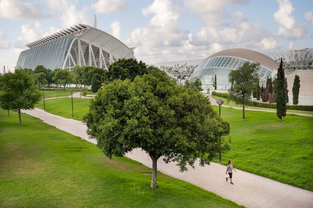 valencia3