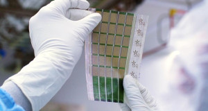 Произведени флексибилни соларни ќелии, потенки од лист хартија