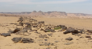 Во Египет е откриена најстарата поплочена улица на светот