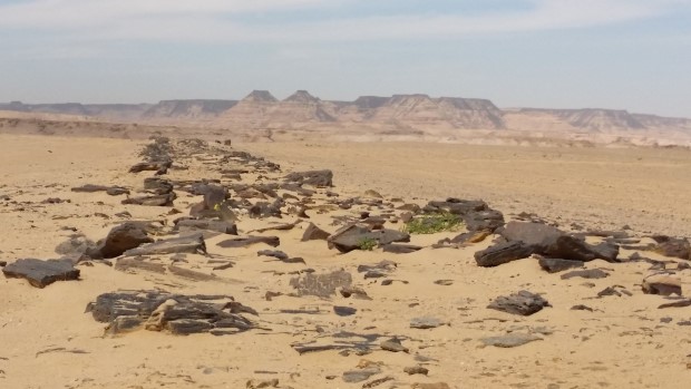 Во Египет е откриена најстарата поплочена улица на светот