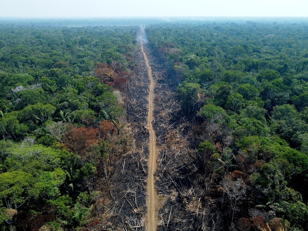 220919174024-02-brazil-amazon-deforestation