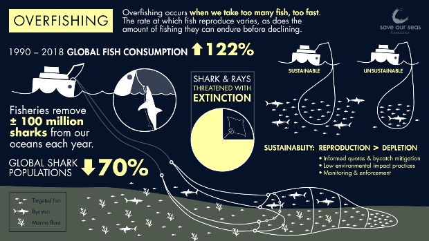 infographic-overfishing_v8