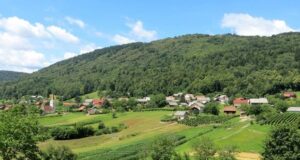 Словенија распиша јавен конкурс за преработка и пласман на земјоделски производи
