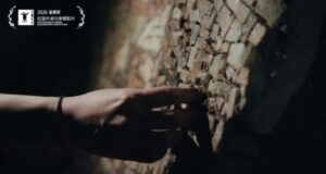 Премиера во Шангај на филмот „Руини“ на Елена Чемерска за реставрацијата на Споменикот на слободата во Кочани