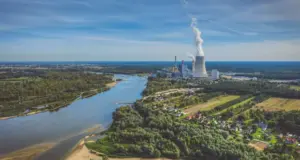 Полска термоелектрана на јаглен мора да ја санира штетата по живиот свет на реката Висла